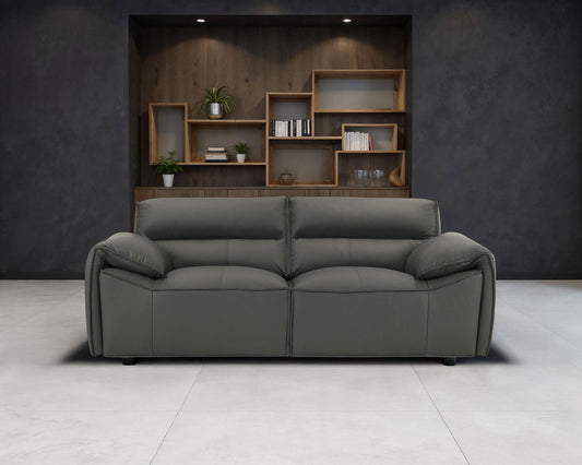 Buxton Top Grain Leather Upholstered Loveseat Graphite