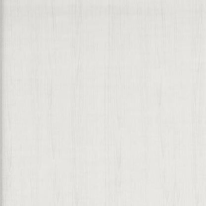 Deznee - 48" Home Office Desk - White
