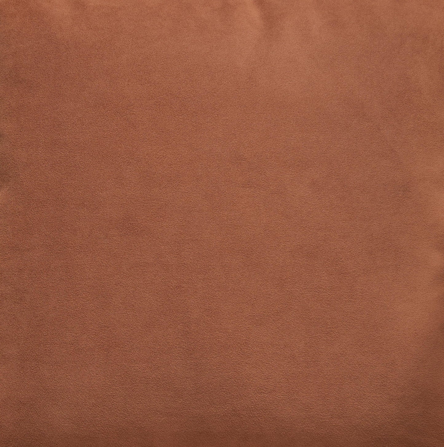 Caygan - Throw Pillow