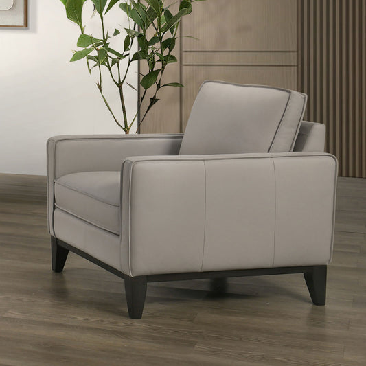 Aaron - Chair - Mist Gray