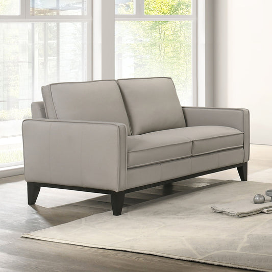 Aaron - Loveseat - Mist Gray